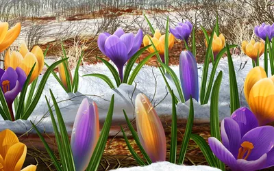 Весна - это красота пробуждения природы» — создано в Шедевруме