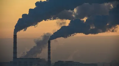 Как загрязнение воздуха разрушает наше здоровье