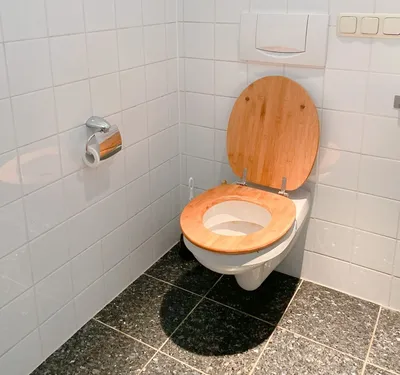 Санитарный стул, насадка на унитаз и другие приспособления для туалета —  Про Паллиатив