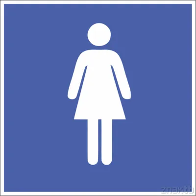 Тактильно-визуальный знак \"Туалет для инвалидов\" ГОСТ Р 521131, ПОЛИСТИРОЛ  купить на сайте Доступная Страна