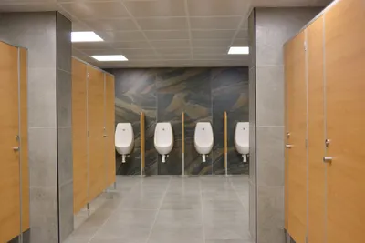 Дизайн маленького туалета: 136 фото лучших идей для ремонта. Советы, как  необычно оформить стены и пол в частном доме или квартире