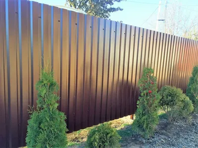 На заборе тоже написано…» или лесной арт | Пикабу