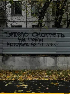 Забор из профнастила - цена установки под ключ в Москве | Заказать дешево  ограждение из профлиста