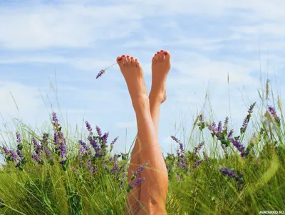 Фото торчащих из травы женских ног — Картинки для аватара