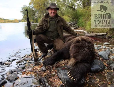 Картинки охота на медведя фотографии