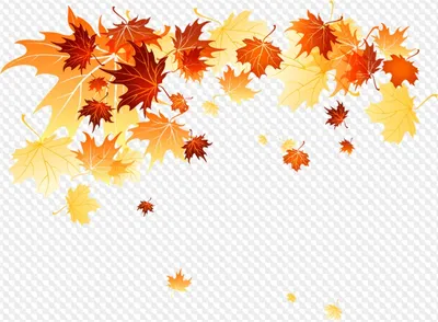 PSD, 13 PNG, Осенние листья рамки Клипарт на прозрачном фоне