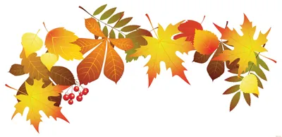 Осенние листья - современные векторные реалистичные изолированные картинки  на прозрачном фоне. разные деревья, дуб, рябина, клен, каштан, береза,  осина, арония, вяз | Премиум векторы