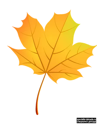 Падающие осенние листья на прозрачном фоне Иллюстрация вектора -  иллюстрации насчитывающей отпразднуйте, знамена: 163037859