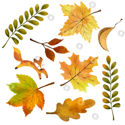 Осенние листья и рама границы жёлудь с текстом на прозрачном фоне.  Иллюстрация штока - иллюстрации насчитывающей чертеж, празднество: 172704329