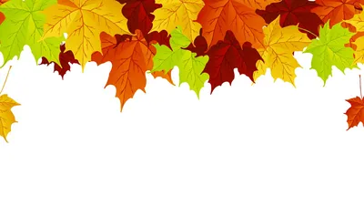 Осенние листья | Началочка
