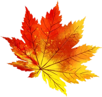 Осенние Листья Для Фотошопа - Free Transparent PNG Clipart Images Download