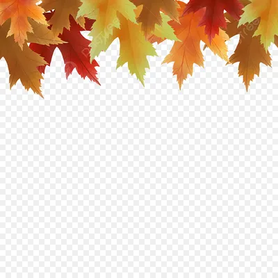 акварель осенние листья на прозрачном фоне PNG , осень, лист, акварель PNG  картинки и пнг PSD рисунок для бесплатной загрузки