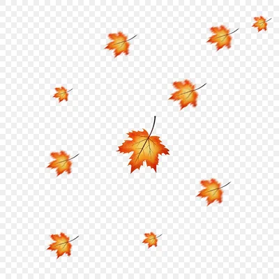Leaf Portable Network Graphics Осенние листья, осенние листья, натуральные  продукты, лист png | PNGEgg