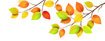 Осенний кленовый лист - Png (пнг) картинки и иконки без фона