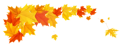 Осенний фон, листья ПНГ на Прозрачном Фоне • Скачать PNG Осенний фон, листья