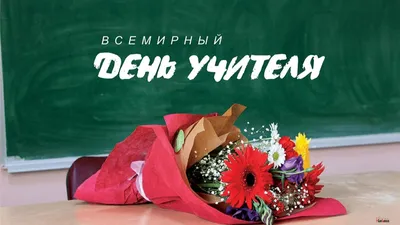 Поздравительные открытки День учителя в школу набор 10 шт ТМ Мир  поздравлений 85746119 купить в интернет-магазине Wildberries
