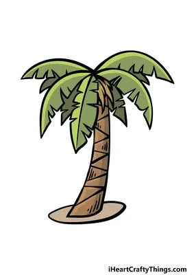 Пальмы нарисованные рукой иллюстрация штока. иллюстрации насчитывающей  икона - 117374340