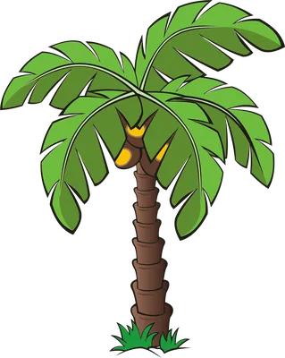 Установленные пальмы нарисованные рукой тропические Иллюстрация вектора -  иллюстрации насчитывающей чертеж, природа: 107509734