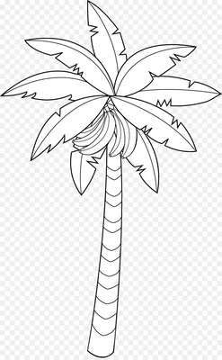 Нарисованные ветви узор пальмы обои - TenStickers
