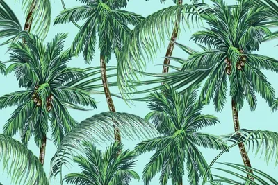 Мультяшный лист пальмы - 66 фото