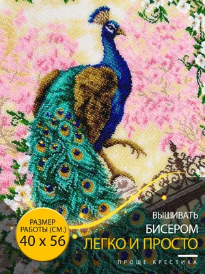 Чехол для телефона с рисунком 35x50 Павлин птица Техасский цвет Nature  Nikon | AliExpress