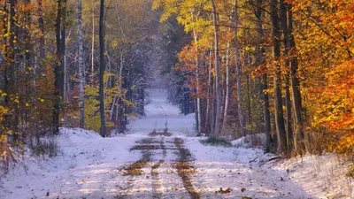 Осенняя дорога. Красивая природа - обои на рабочий стол