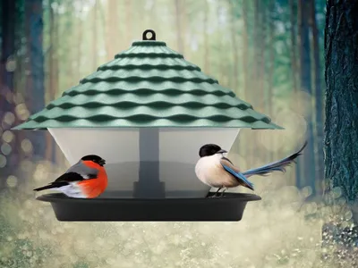 Чем лучше кормить птиц зимой и какую кормушку выбрать? | Новости |  СеровГлобус.ру