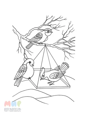 птицы :: кормушка для птиц / смешные картинки и другие приколы: комиксы,  гиф анимация, видео, лучший интеллектуальный юмор.