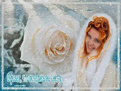 Розы на снегу - Single - Album by Vyacheslav Evtykh - Apple Music