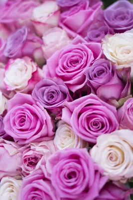 Обои на телефон розы, цветы, букет, розовый, коралловый, подарок,  романтичный - скачать бесплатно в высоком качестве из категории \"Цветы\"
