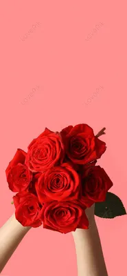 Обои на телефон Розы, картинки красивых роз | Zamanilka