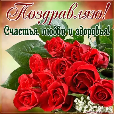 Фото открытка с изумительными алыми розами на День рождения — Скачайте на  Davno.ru