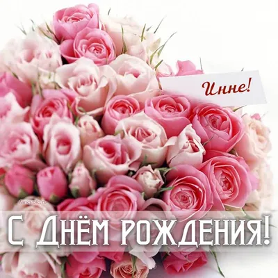 Открытка Софии на День рождения с розами в корзинке