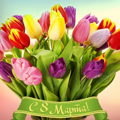 Фото-поздравление с тюльпанами - открытка № 11760 категории на 8 марта. Вы  можете скачать и поделиться этой открыт… | Цветы день рождения, С днем  рождения, Открытки