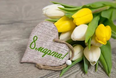 Традиции дарить тюльпаны на 8 марта исполнилось 50 лет | Новости –  Gorsite.ru