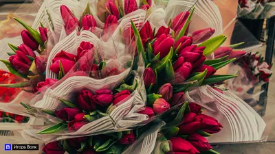 Тюльпаны и солнце: продавцы и покупатели о цветах к 8 Марта - 06.03.2021,  Sputnik Беларусь