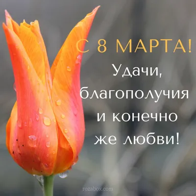 Тюльпаны в шляпной коробоке на 8 марта купить с доставкой по Томску: цена,  фото, отзывы.