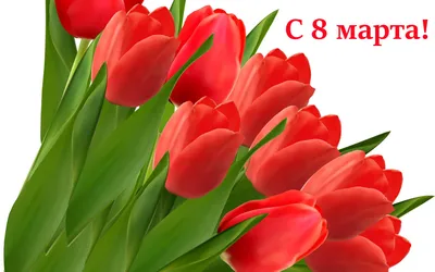 Тюльпаны к 8 Марта − заказать в интернет-магазине flowers-expert.ru −  лучшие букеты в спб
