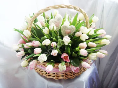 Голландские тюльпаны на 8 марта - Arcus Flowers
