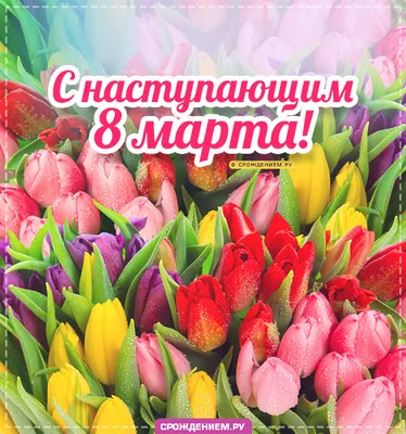 Красивая открытка с розовыми тюльпанами, с 8 марта мама - обои для рабочего  стола, картинки, фото