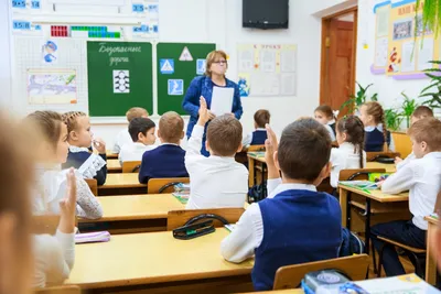 Учитель, гуляющий среди маленьких школьников на уроке, объясняет Стоковое  Фото - изображение насчитывающей детство, мальчиков: 156377598
