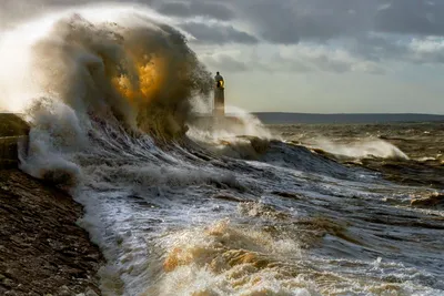 170 лет было то же самое: метеоролог назвал причину \"шторма века\" в Черном  море :: Погода