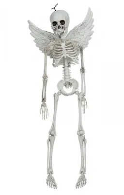 Трафарет скелета на хэллоуин - 56 фото