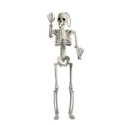 В шоке этот скелет хэллоуин или смеяться? Стоковое Фото - изображение  насчитывающей рука, рот: 199145160