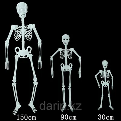 Хэллоуин Скелет Украшение Хэллоуин Полное тело Мини-скелет Пластиковый  скелет | AliExpress