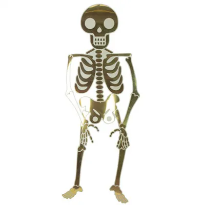 Человеческий скелет Хэллоуин, Halloween Skeleton Free, праздники,  чёрно-белое, череп png | PNGWing