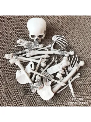 Кости скелета на Хэллоуин - Декорации - На Хэллоуин - Аксессуары