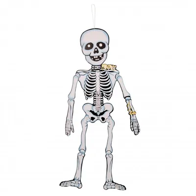 Грим, скелет, череп, девушка, хэллоуин, Halloween, skeleton, makeup |  Макияж лица, Грим, Макияж