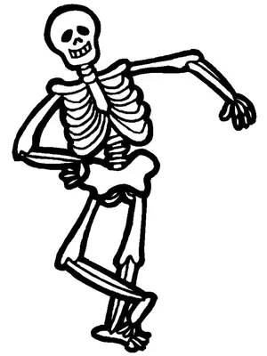Хэллоуин скелет Хэллоуин подвижный скелет искусственный человеческий череп  кости 27,6 дюйма модель скелета Хэллоуин Декор | AliExpress