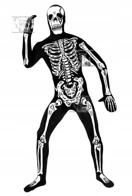 Набор Элементов Скелета Для Рук И Ног На Хэллоуин — стоковая векторная  графика и другие изображения на тему Скелет человека - Скелет человека,  Кисть руки, Хэллоуин - iStock